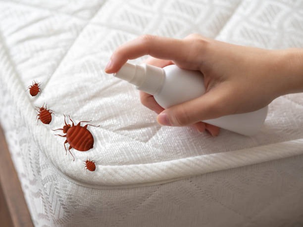 Best Residential Pest Control  in Murphy, MO